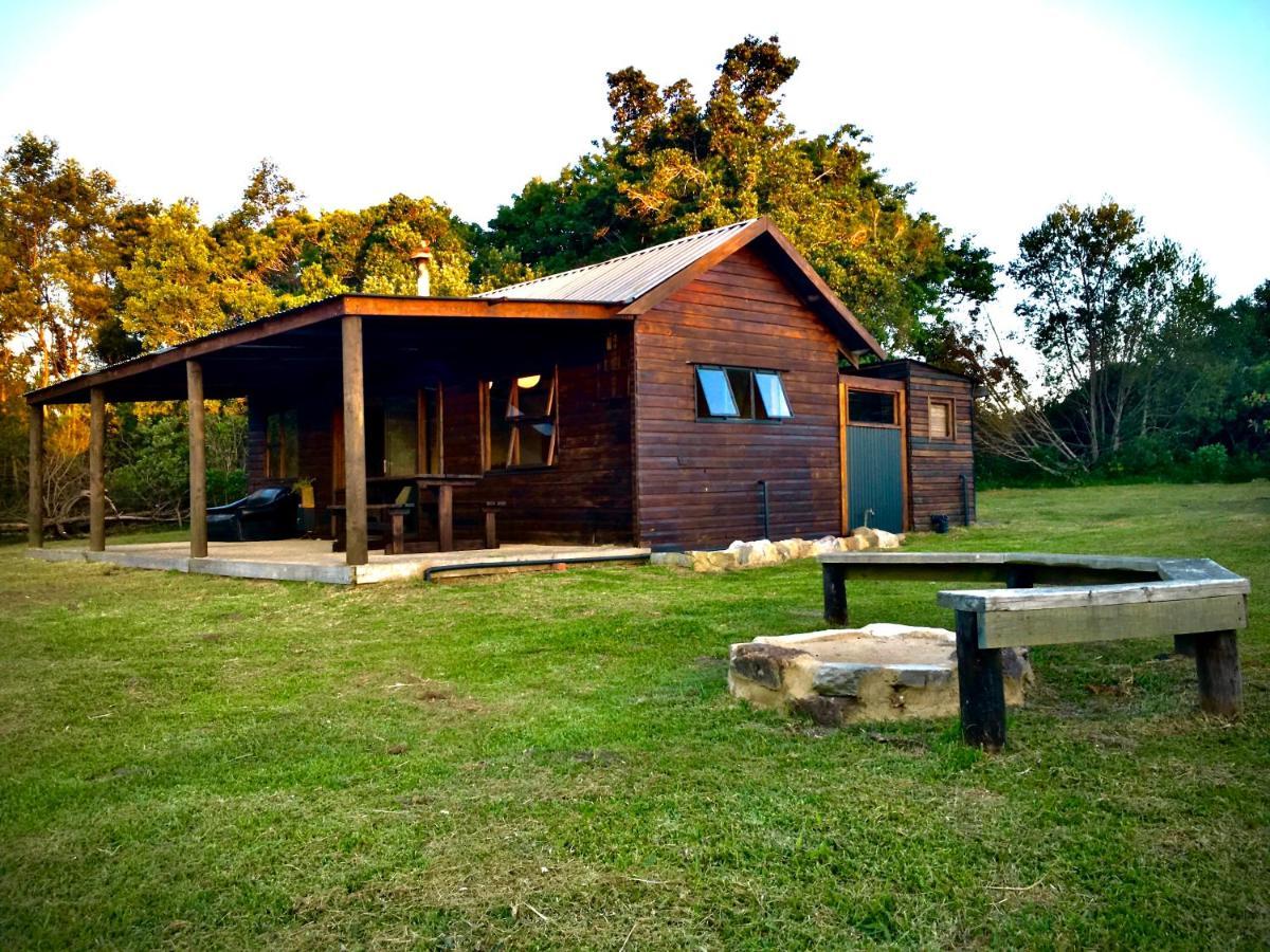 Pura Vida Forest Cabin Witelsbos Zewnętrze zdjęcie